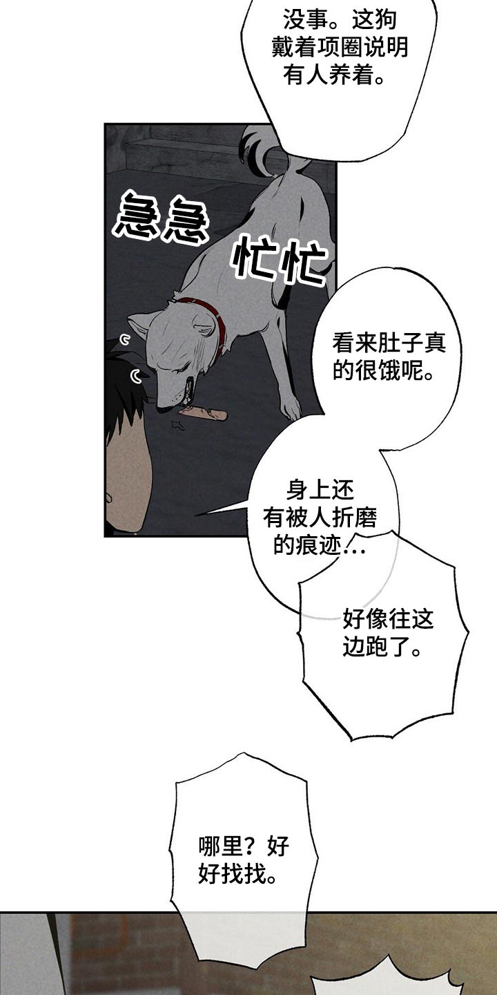第101章：狗狗16
