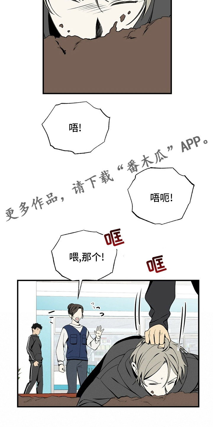 第73章：揍回去23