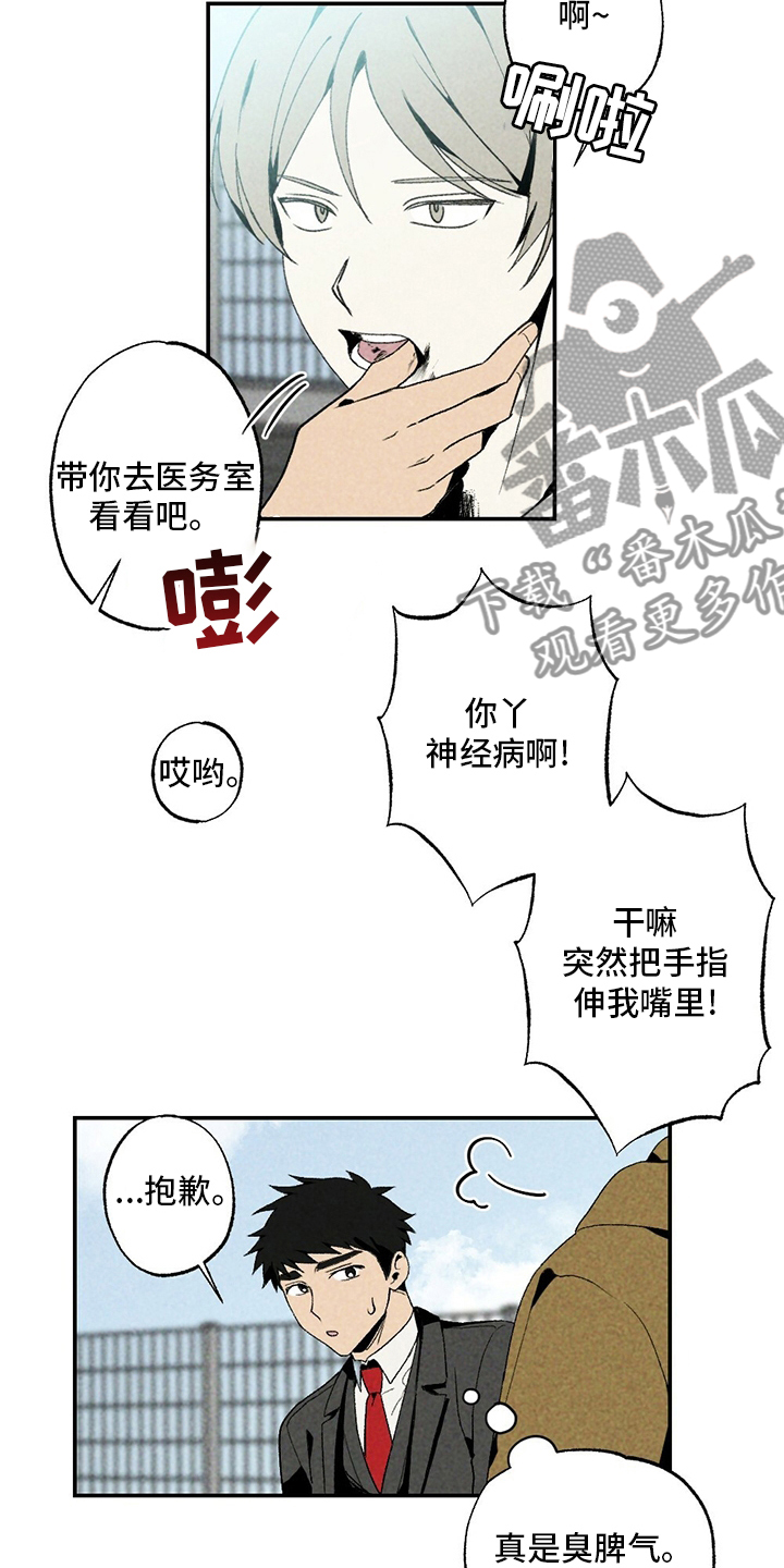 第82章：写吧1