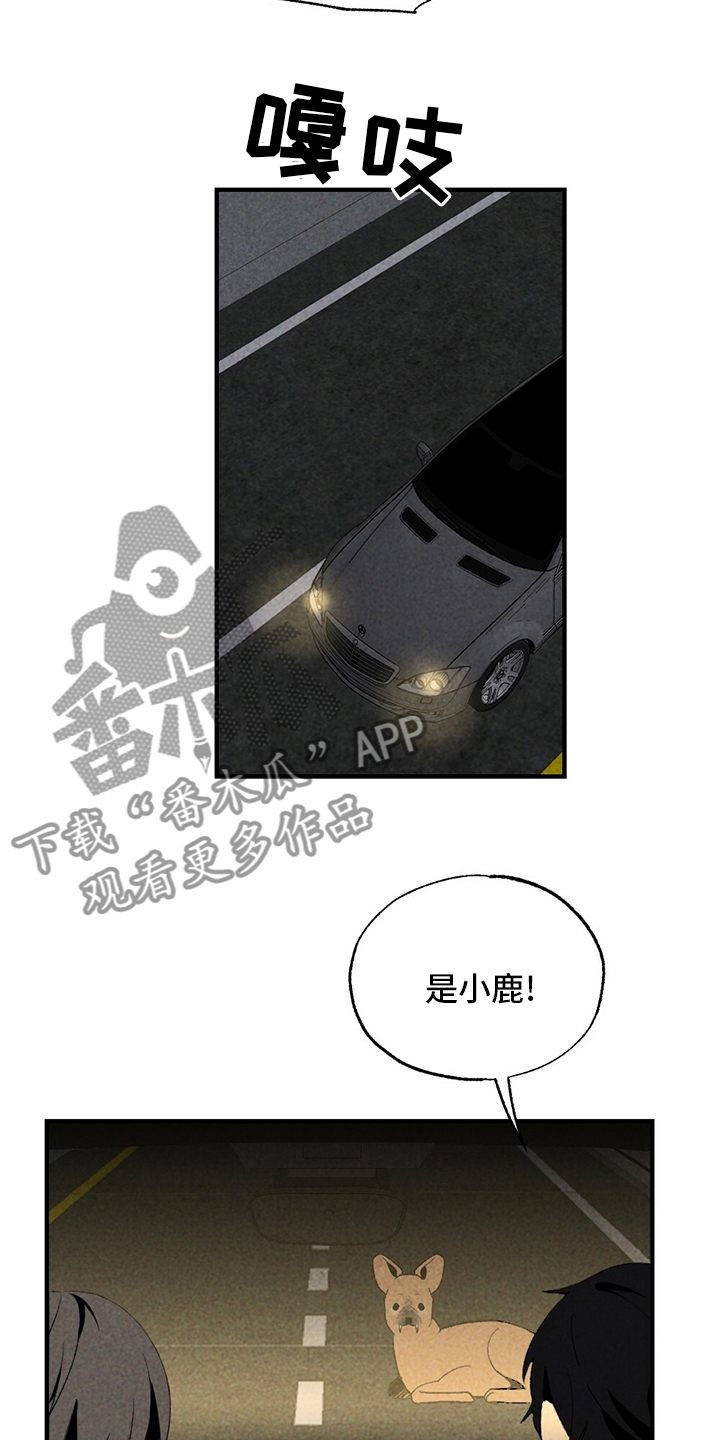 第60章：獐子4