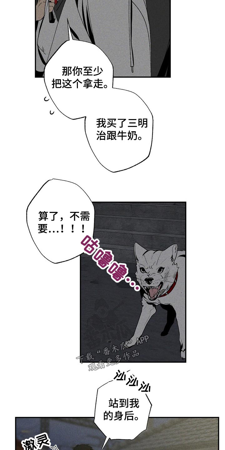 第101章：狗狗11