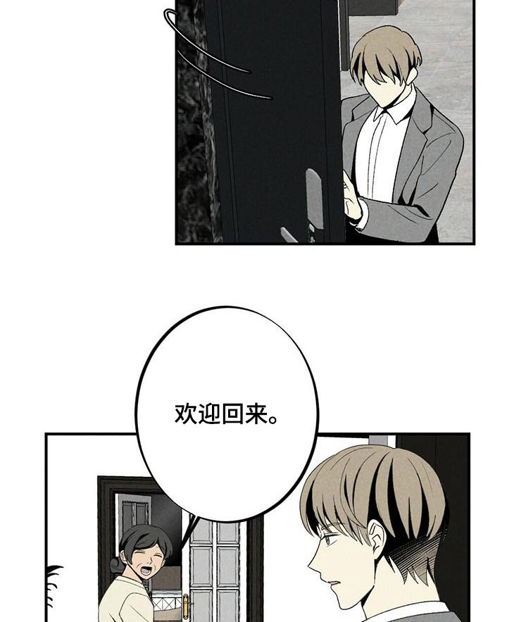 第133章：我回来了19