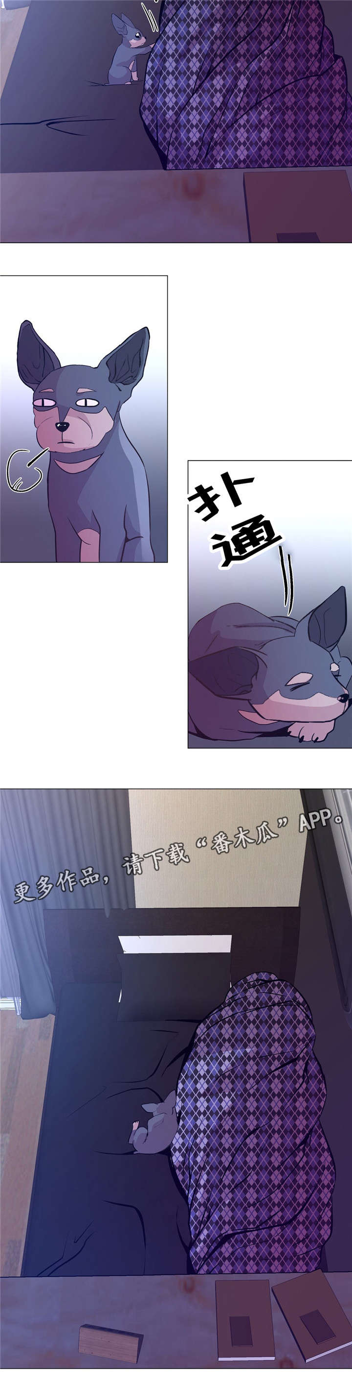 第51章：软柿子6