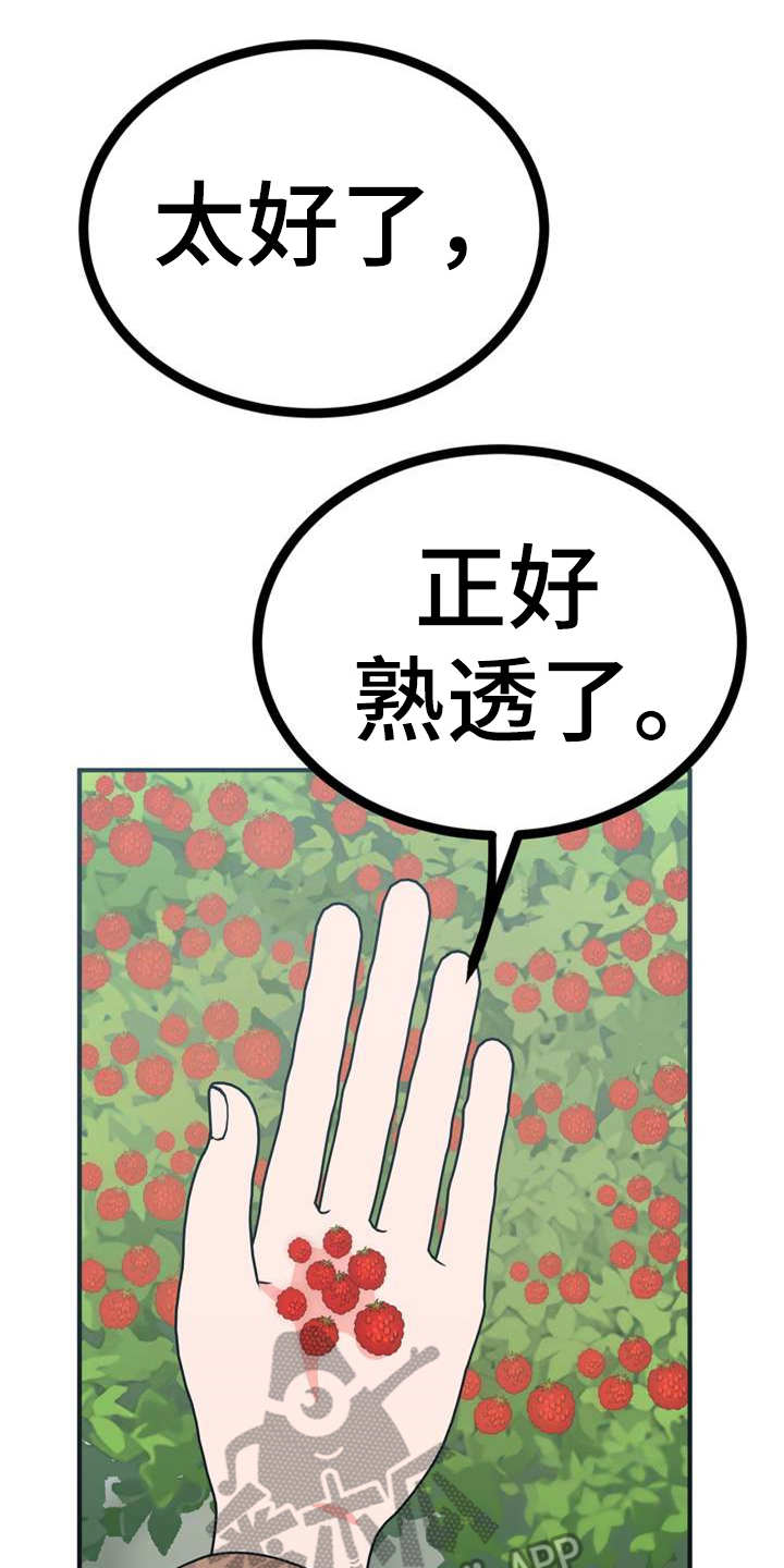 第21章：采摘5