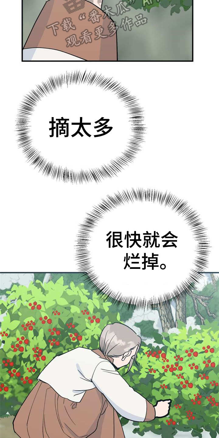 第21章：采摘6
