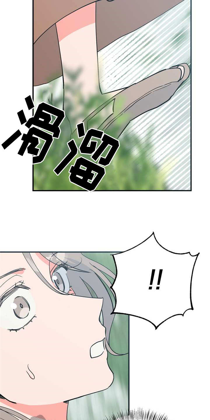 第21章：采摘11