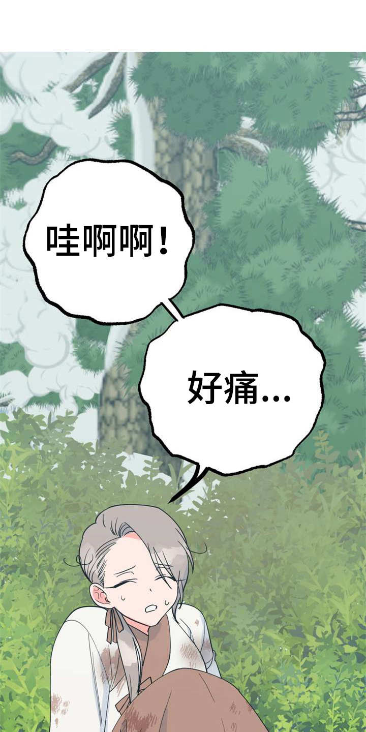 第21章：采摘14