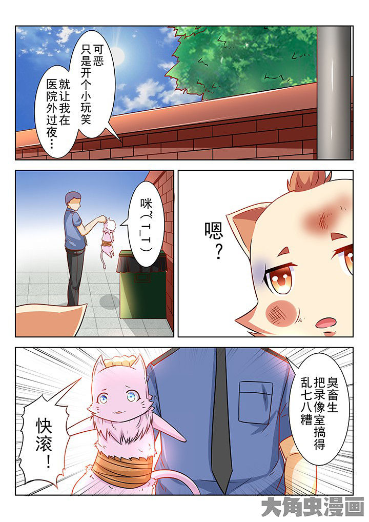 第55章：6