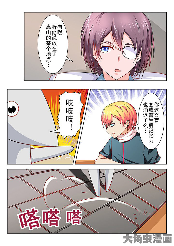 第55章：4