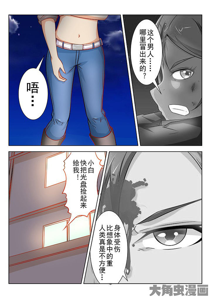第51章：4