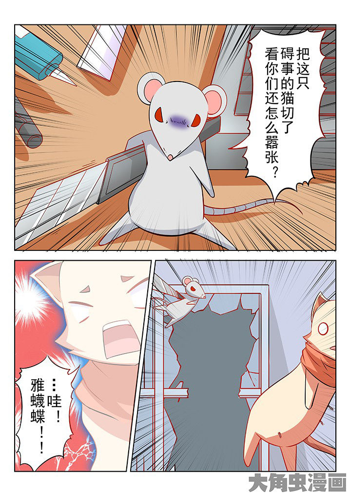 第46章：7