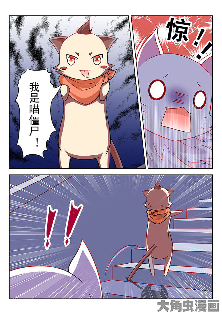 第44章：5