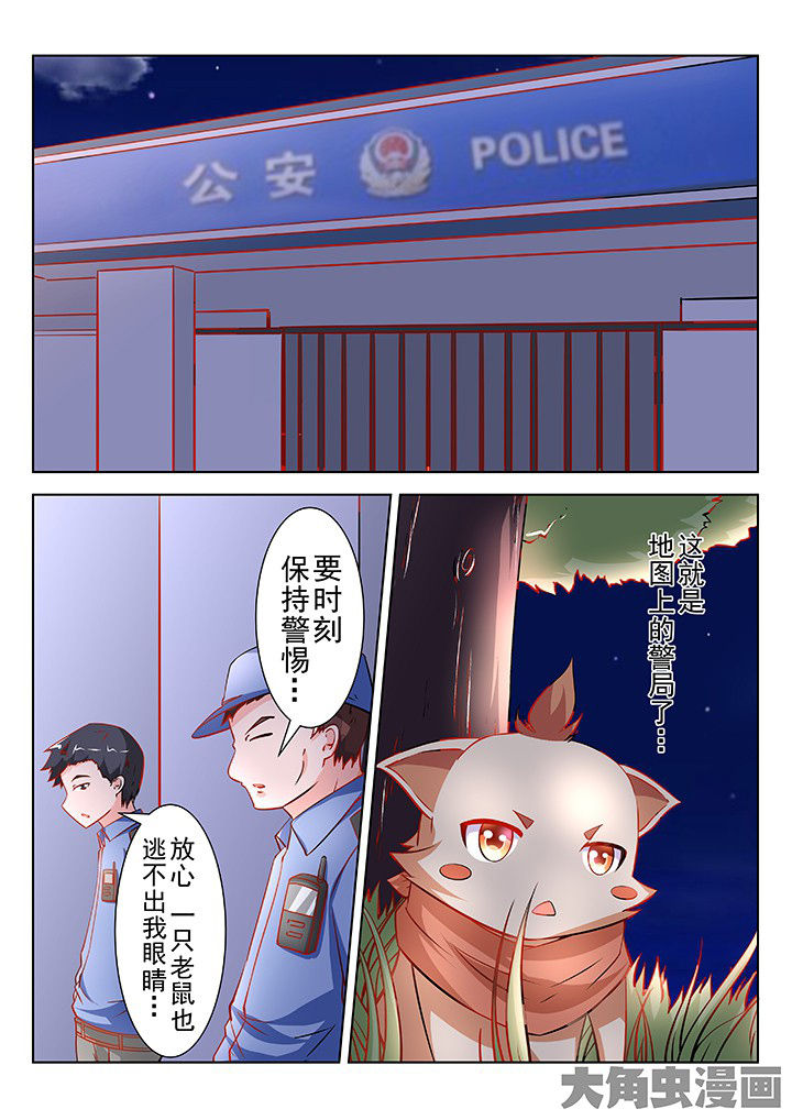 第43章：3