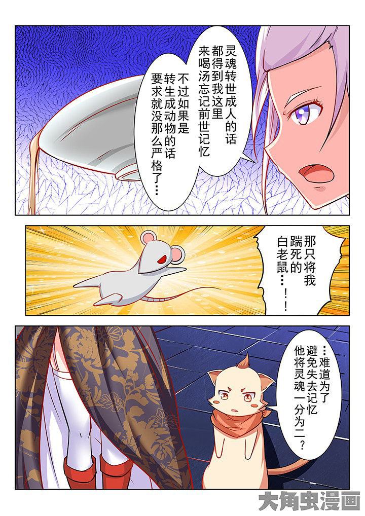 第46章：1