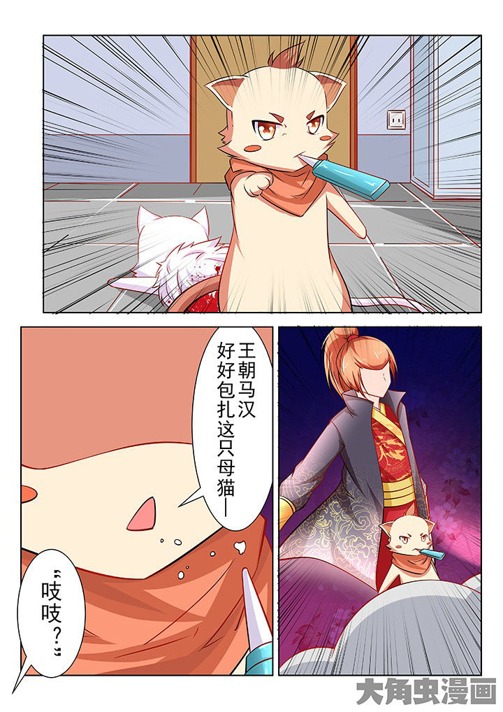 第47章：5