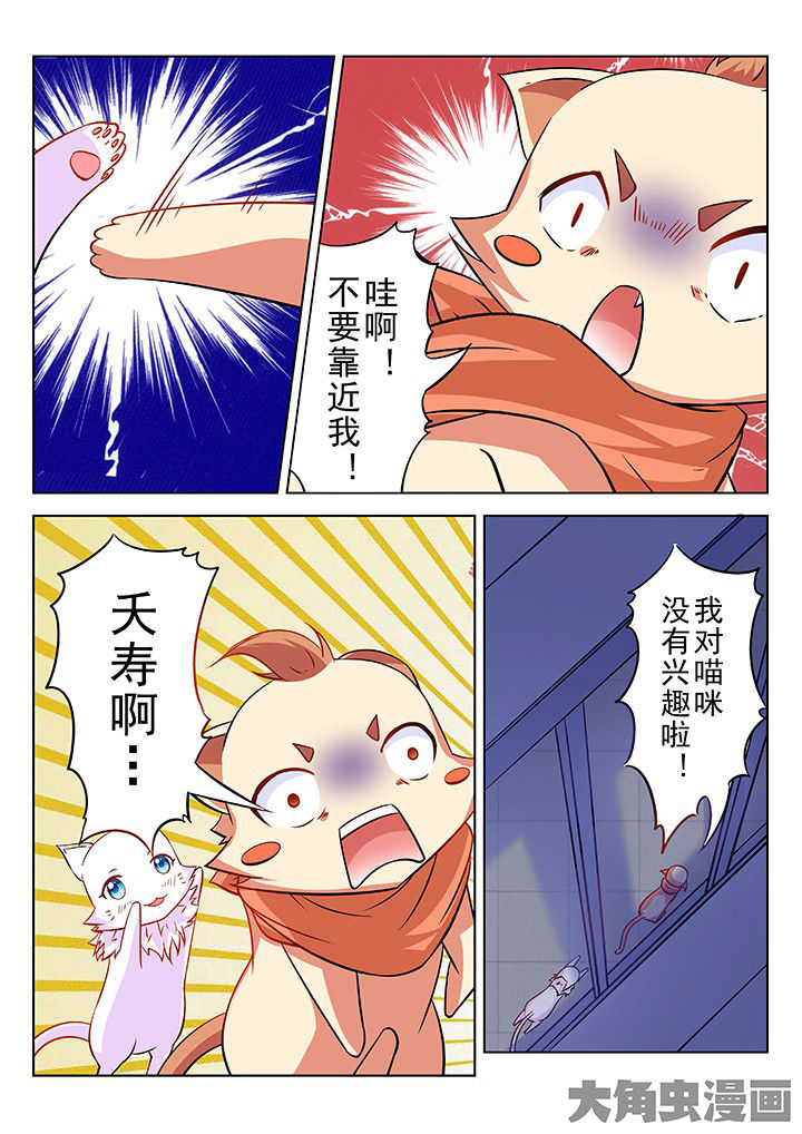 第43章：7
