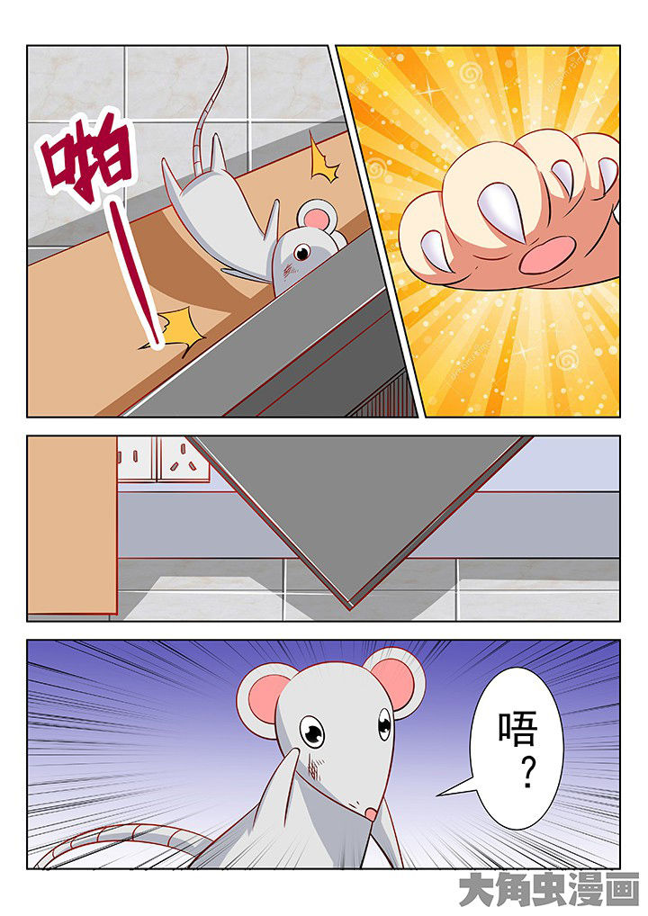 第47章：4