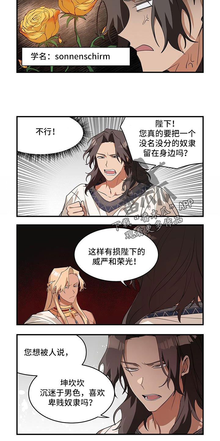 第31章：不能被爱吗3