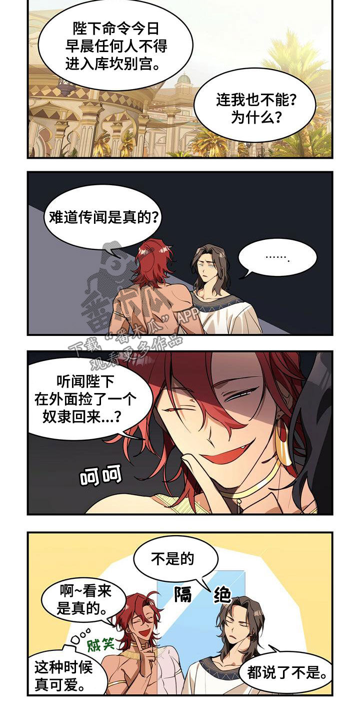 第11章：打听6