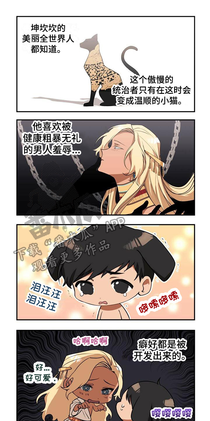 第5章：反抗0