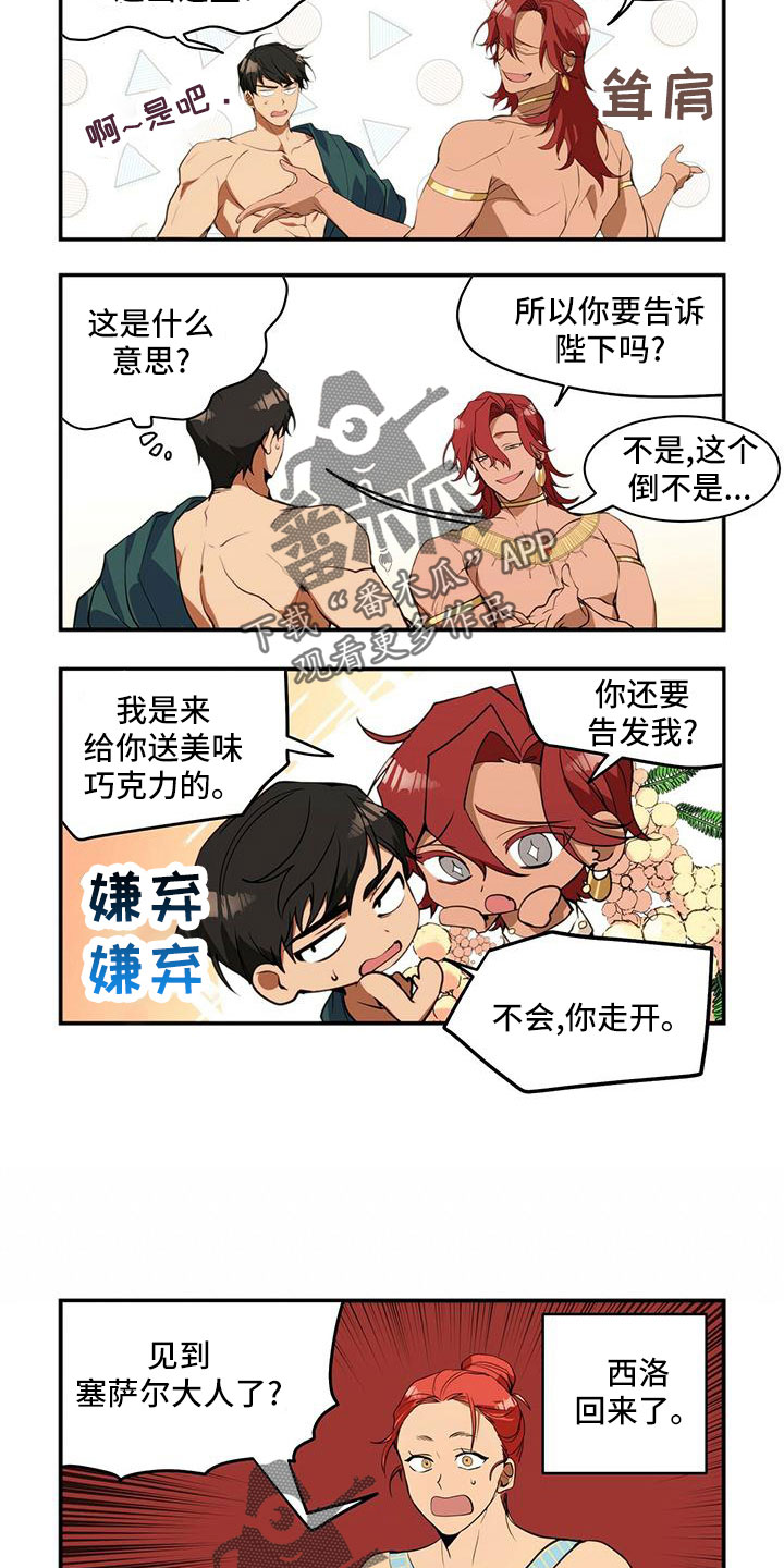 第18章：最强对手5