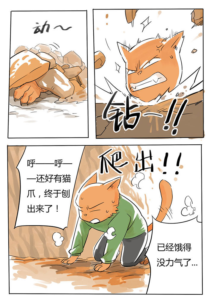 第62章：1
