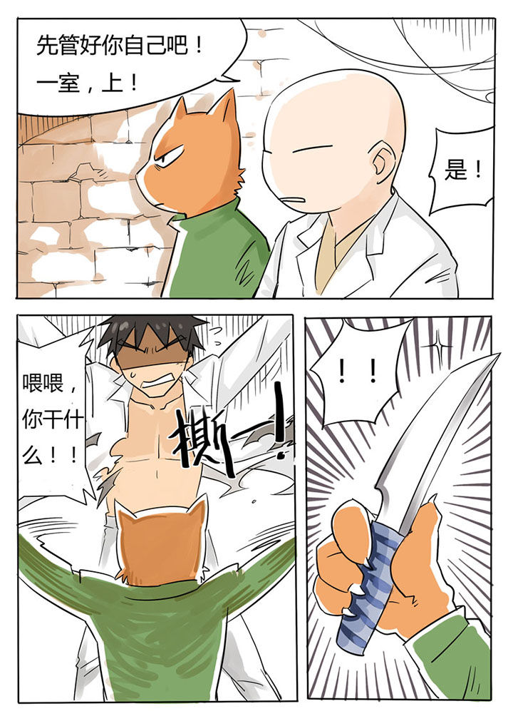 第62章：7