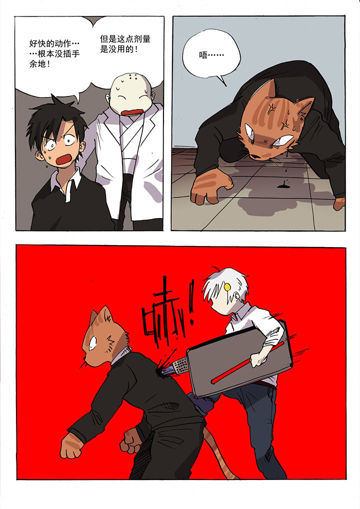 第35章：6