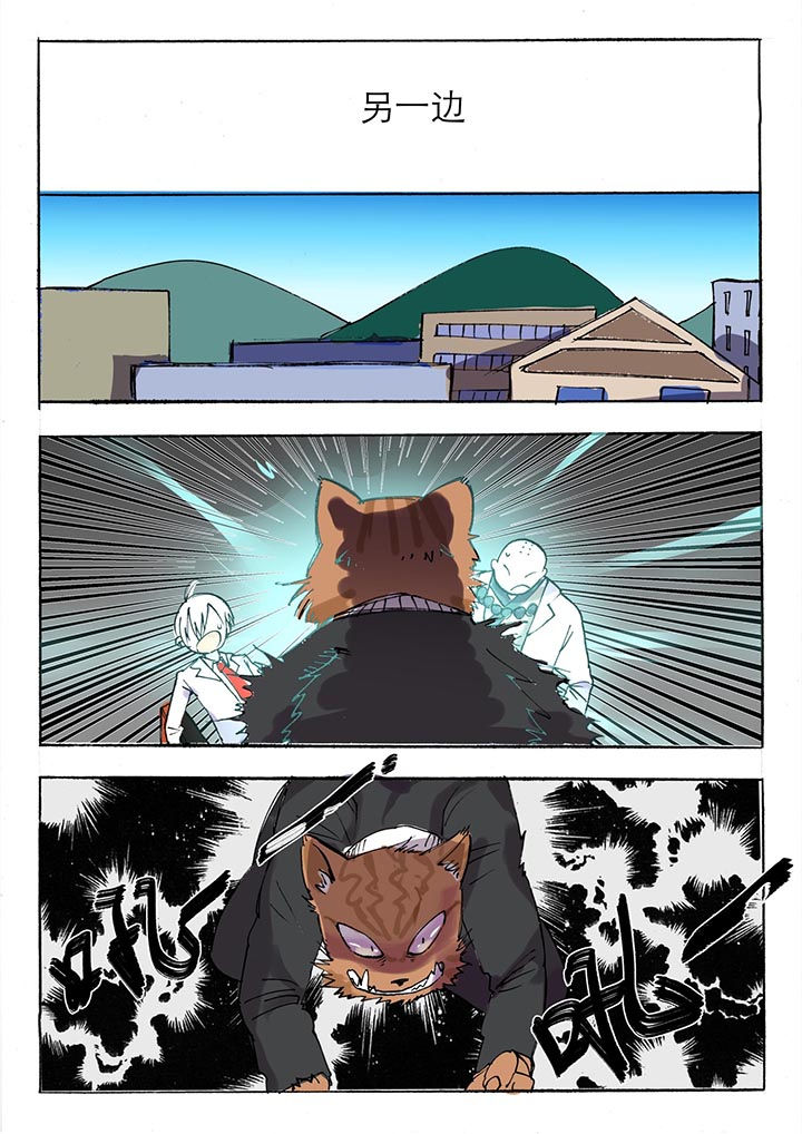 第34章：6