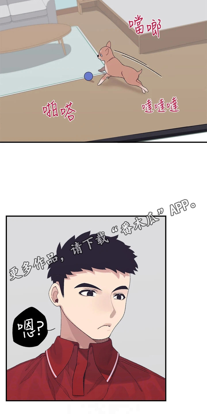 第6章：梦想13