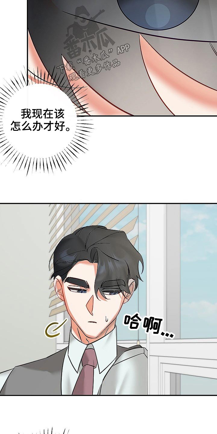 第52章：我们1