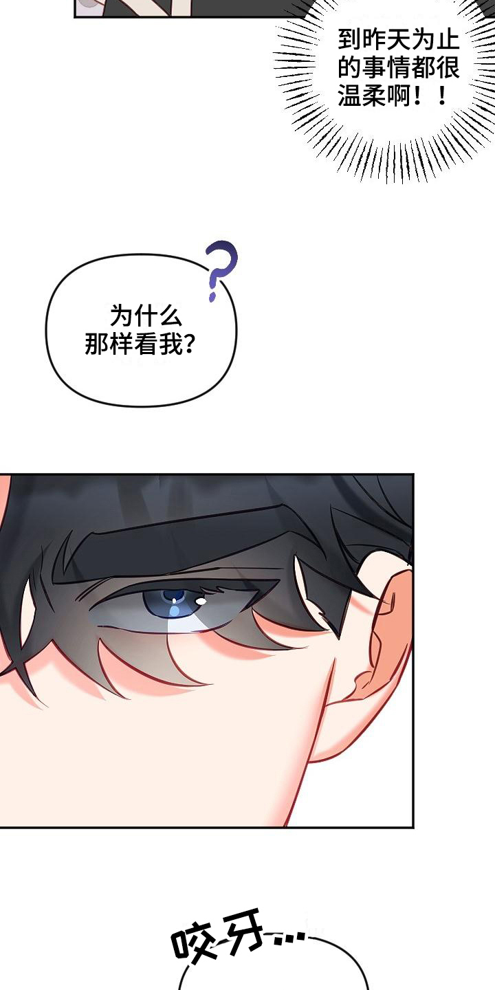 第16章：暗示11