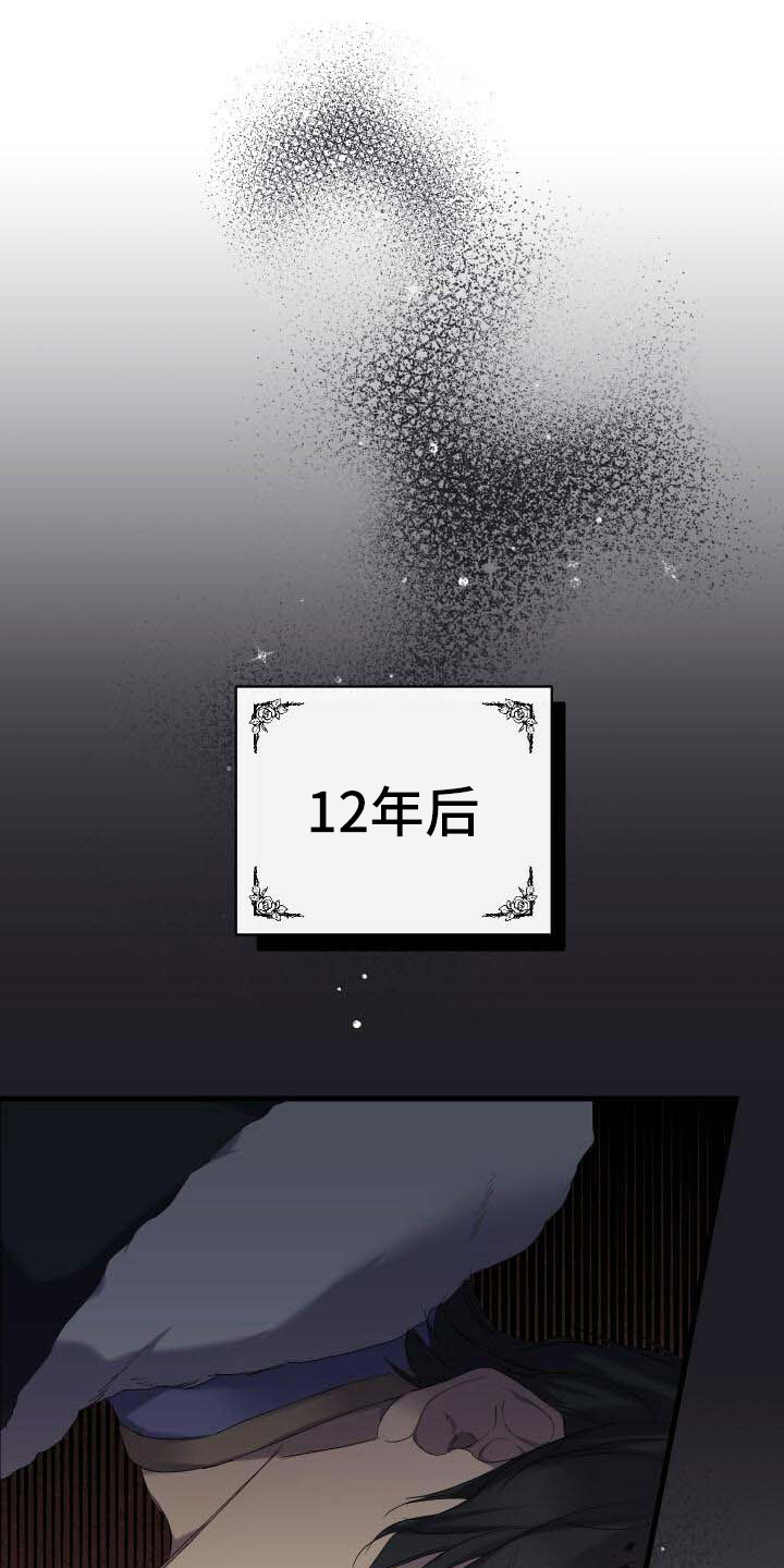 第1章：我的骑士17
