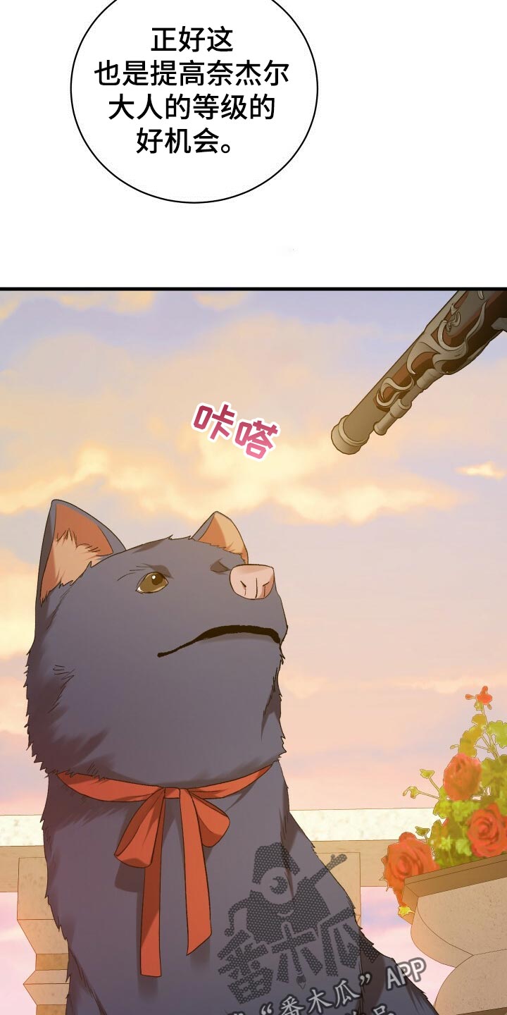 第46章：启发11