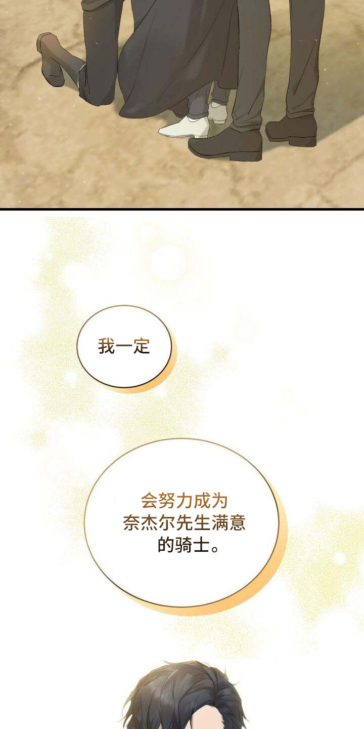 第1章：我的骑士11