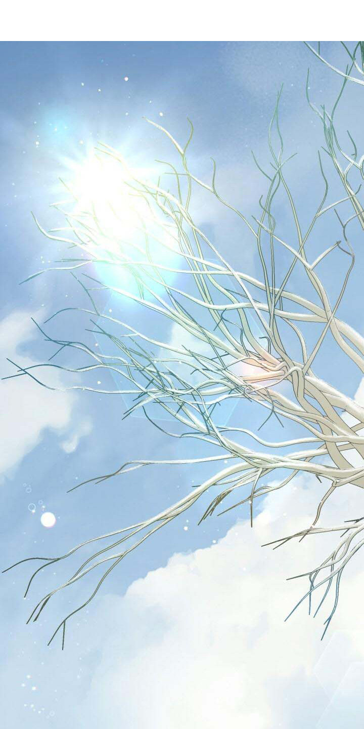 第1章：我的骑士1