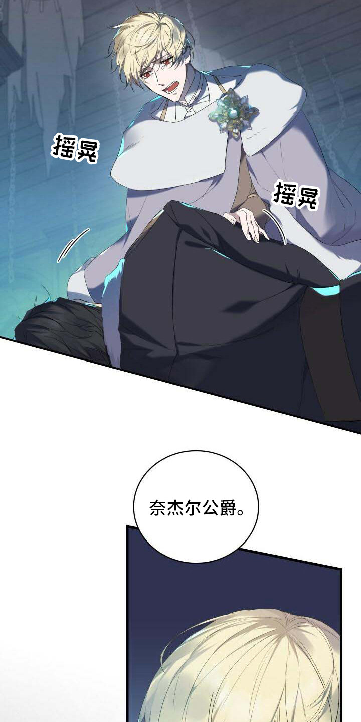 第1章：我的骑士19