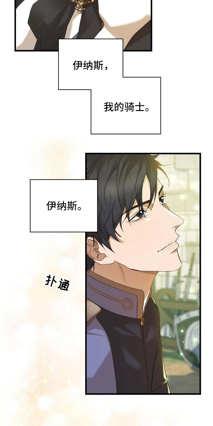 第1章：我的骑士15