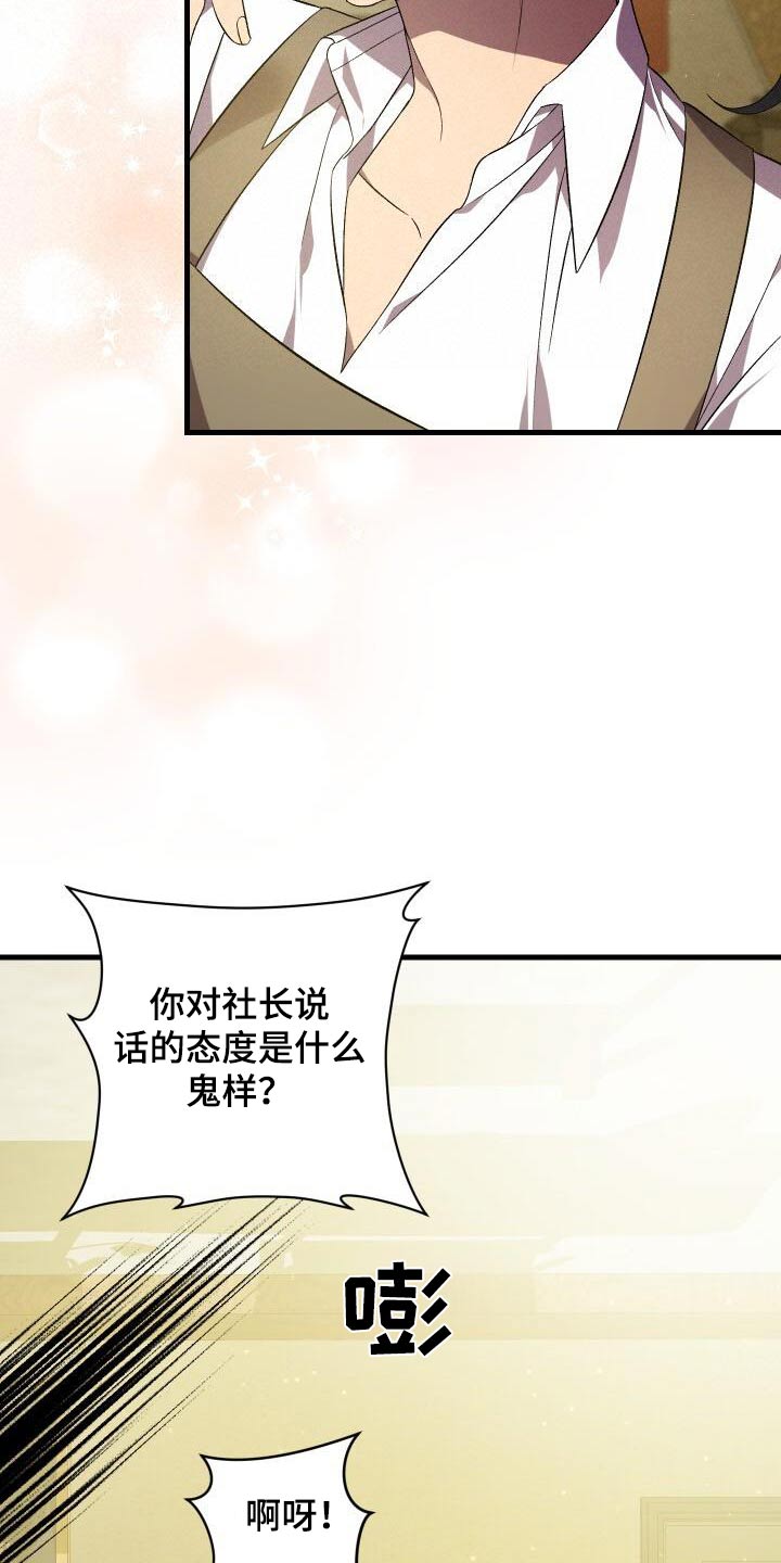 第112章：假象13