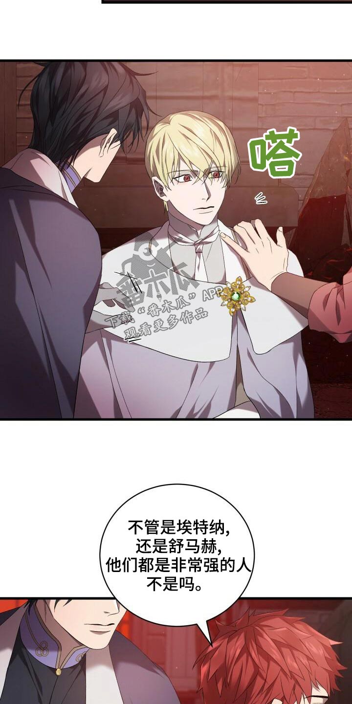 第84章：我的哥哥15