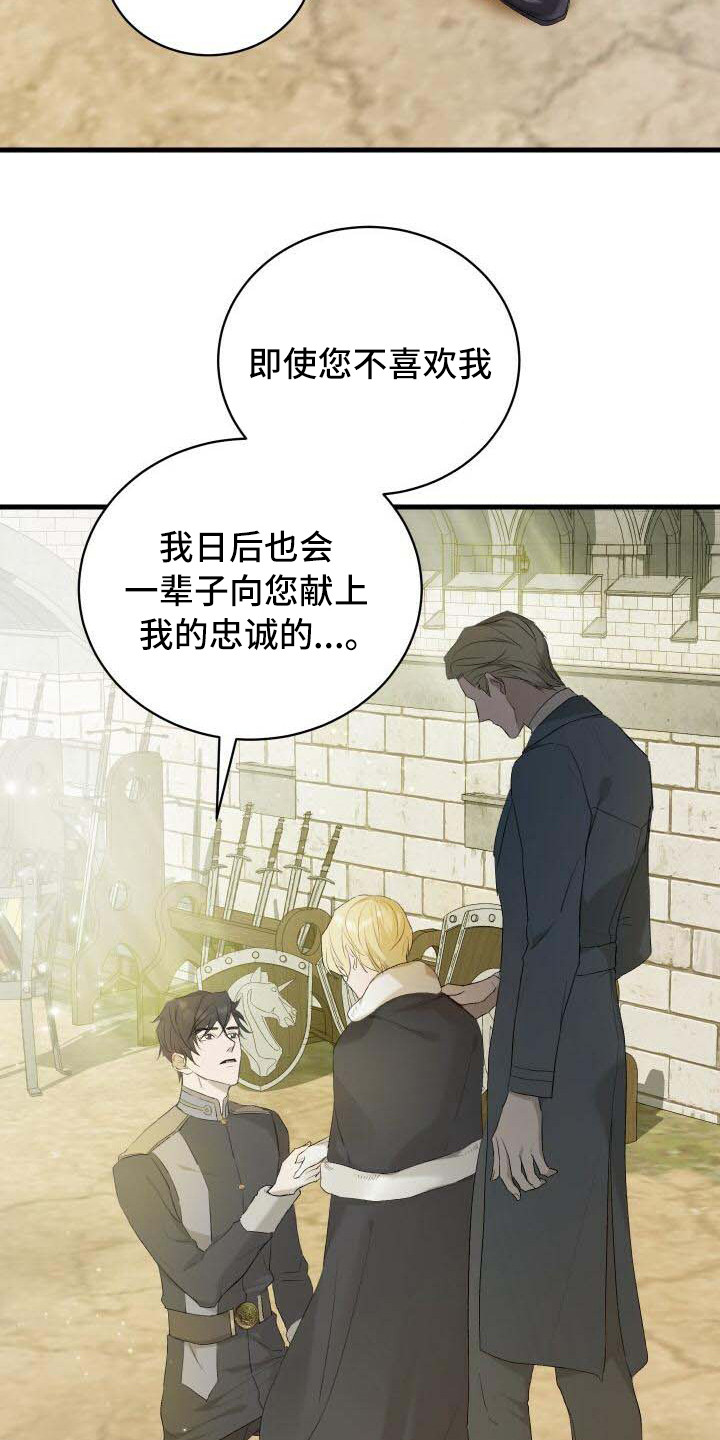 第1章：我的骑士10