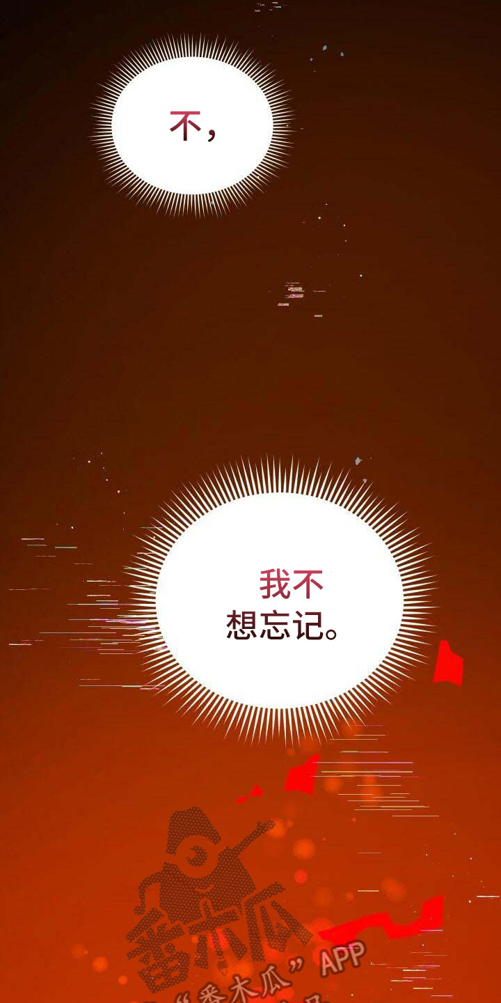 第25章：不想忘记14