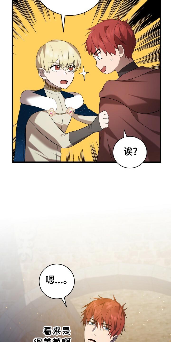 第50章：充分的准备13