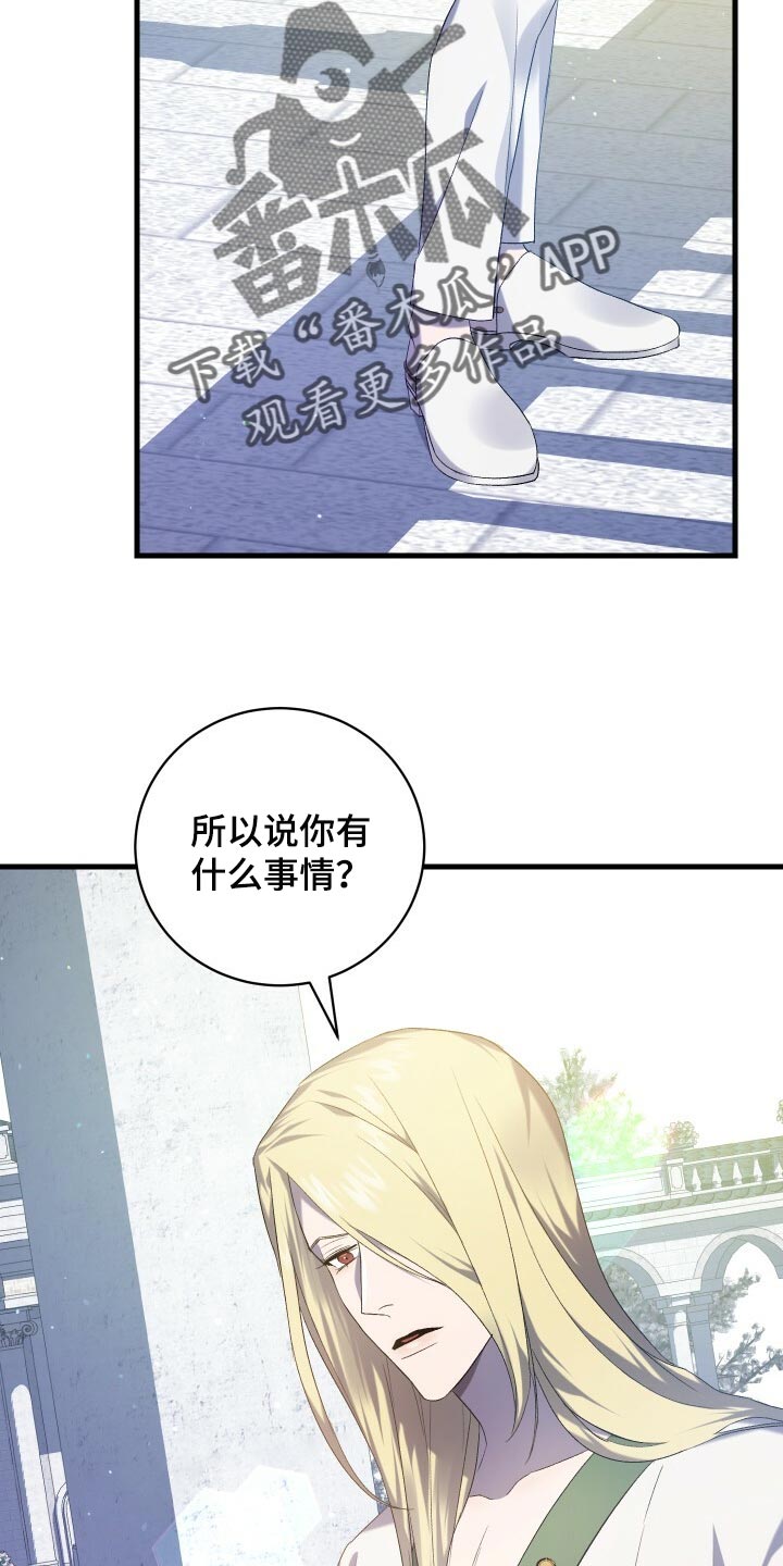 第67章：最后一次轮回15