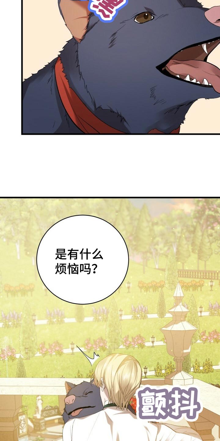 第45章：逃离9