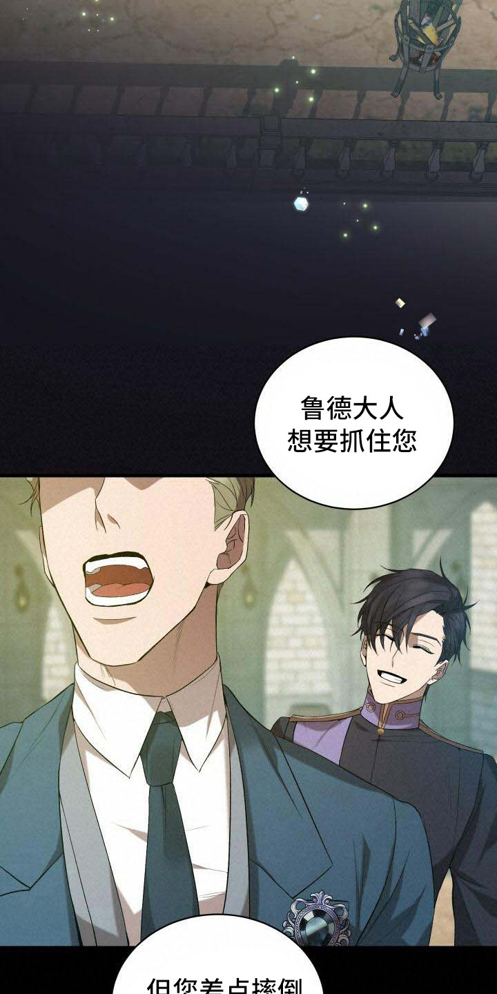 第27章：部分真相19