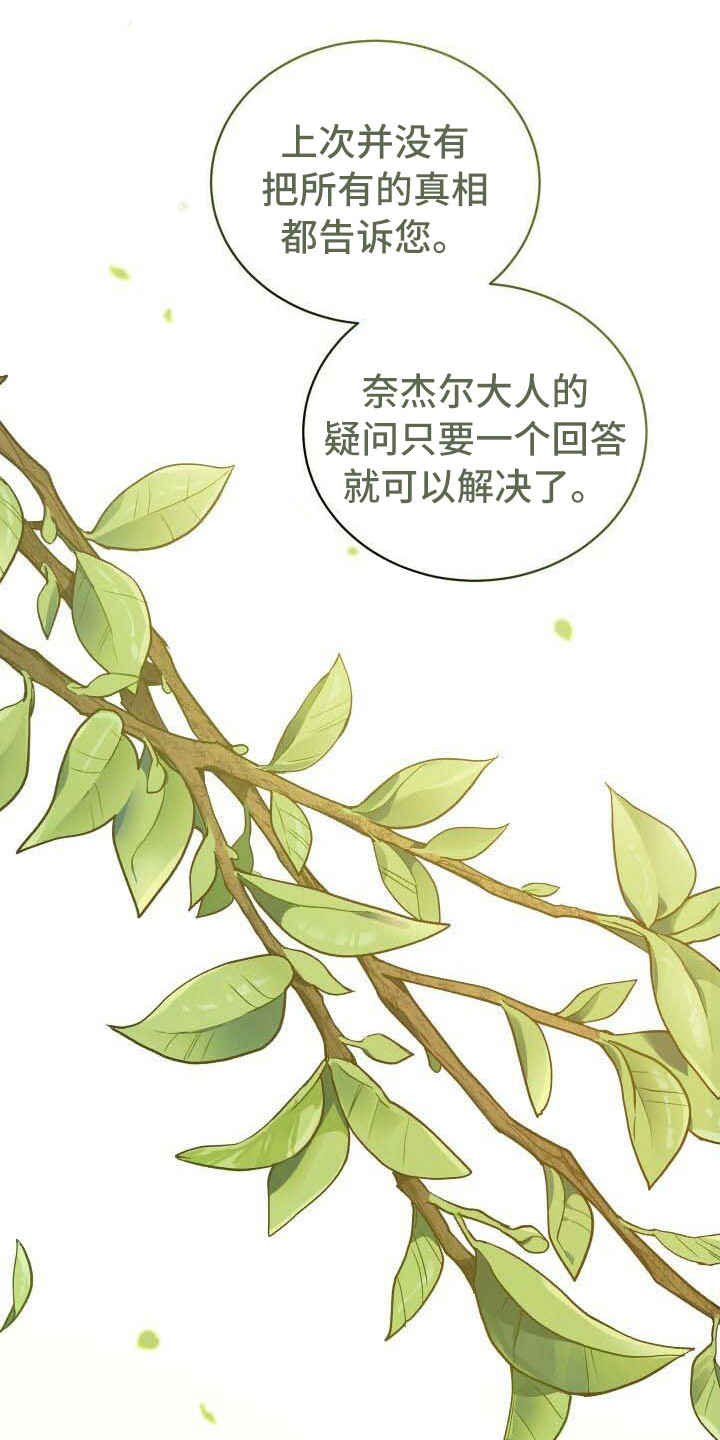 第27章：部分真相12