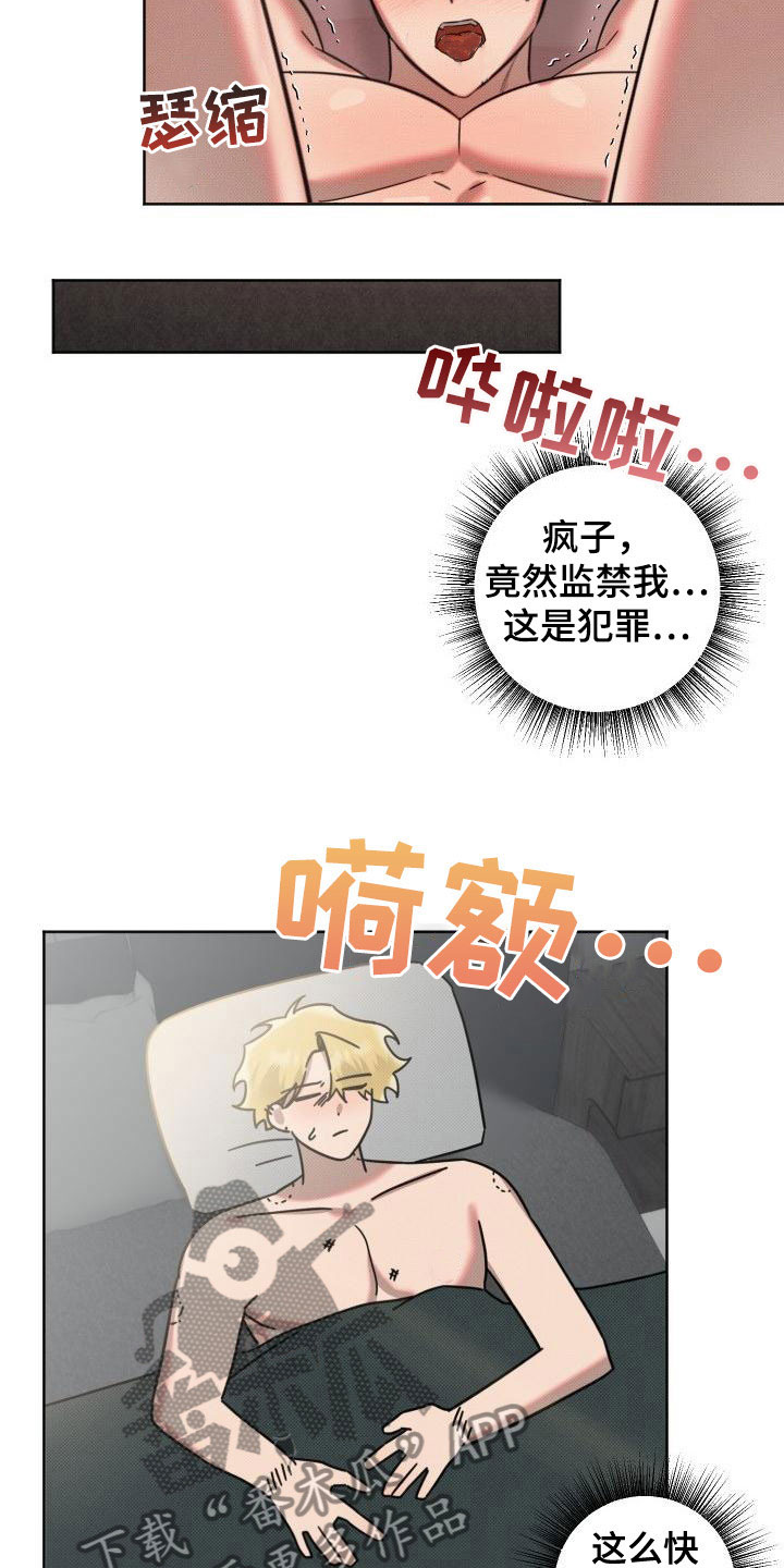 第11章：真是疯子24