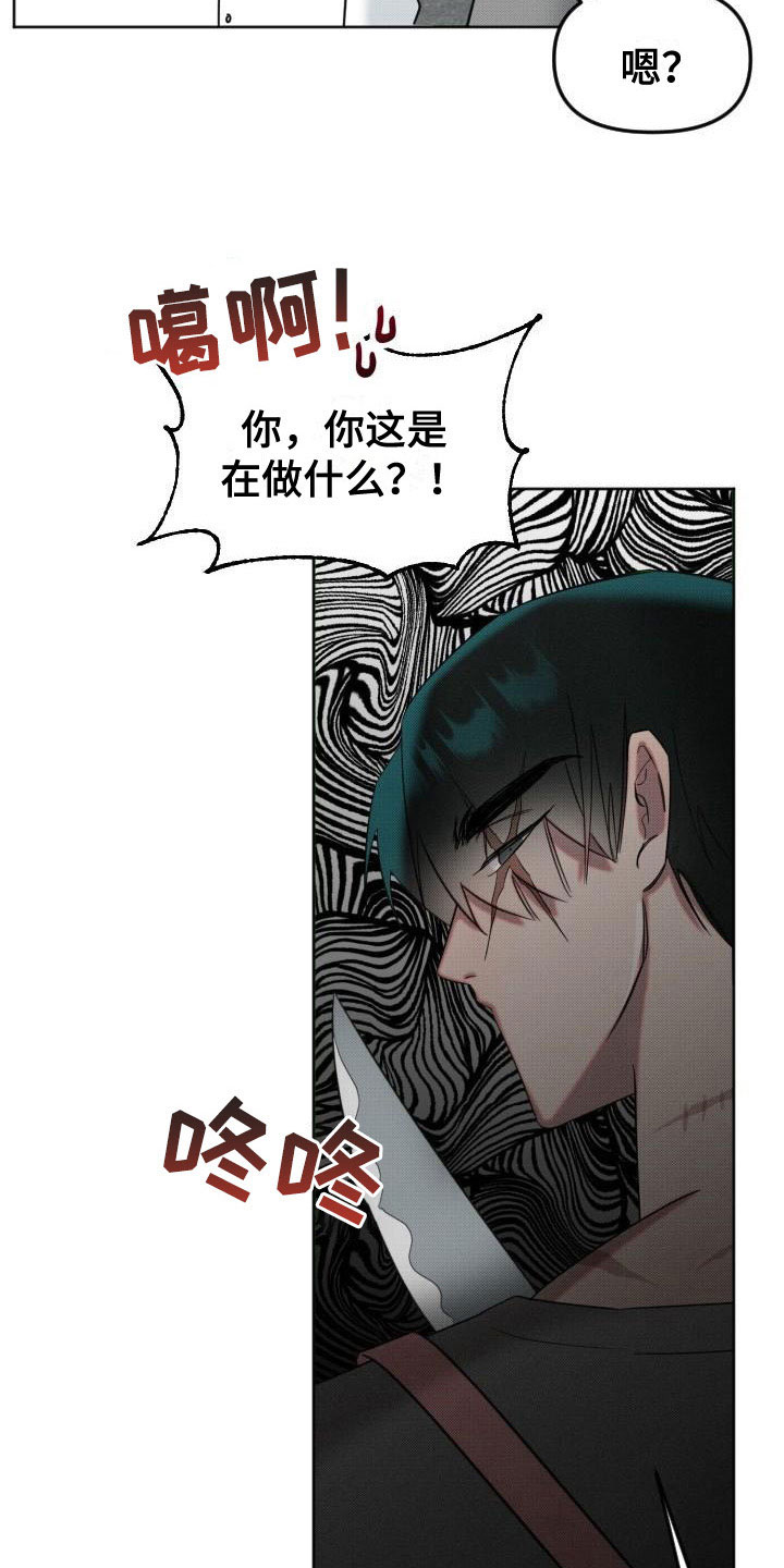 第11章：真是疯子26