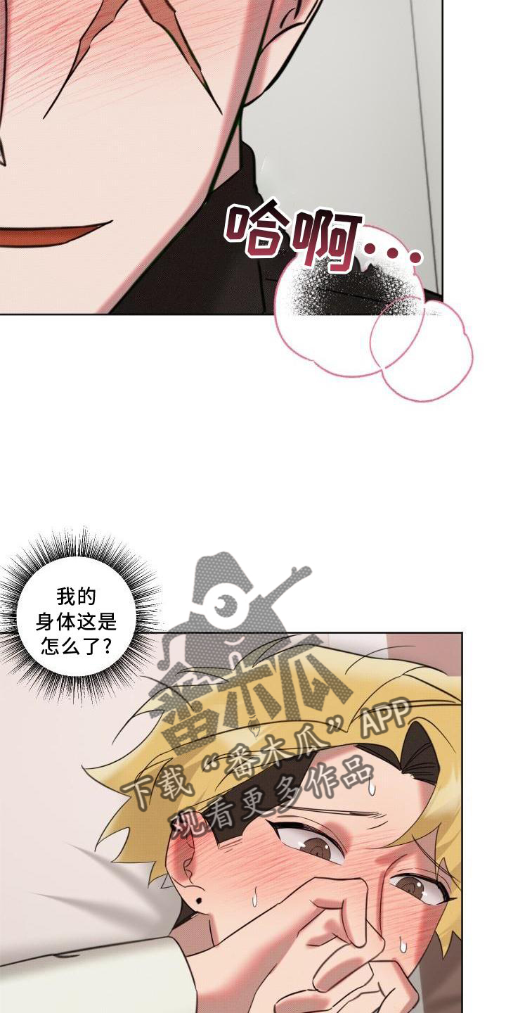 第17章：约定17